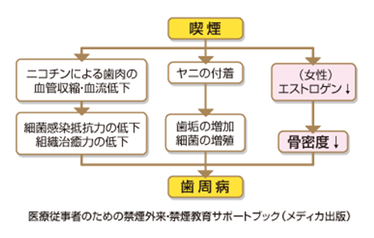 煙草を吸っている方、気づいていない間に歯周病が進んでいるかもしれません