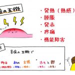 慢性炎症である歯周病の全身への影響