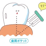 歯磨きについて